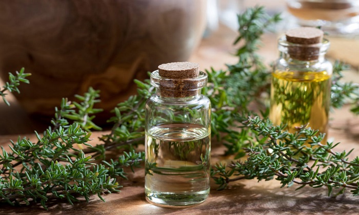  گیاهان تقویت کننده سیستم ایمنی