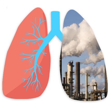 تاثیرات آلودگی هوا